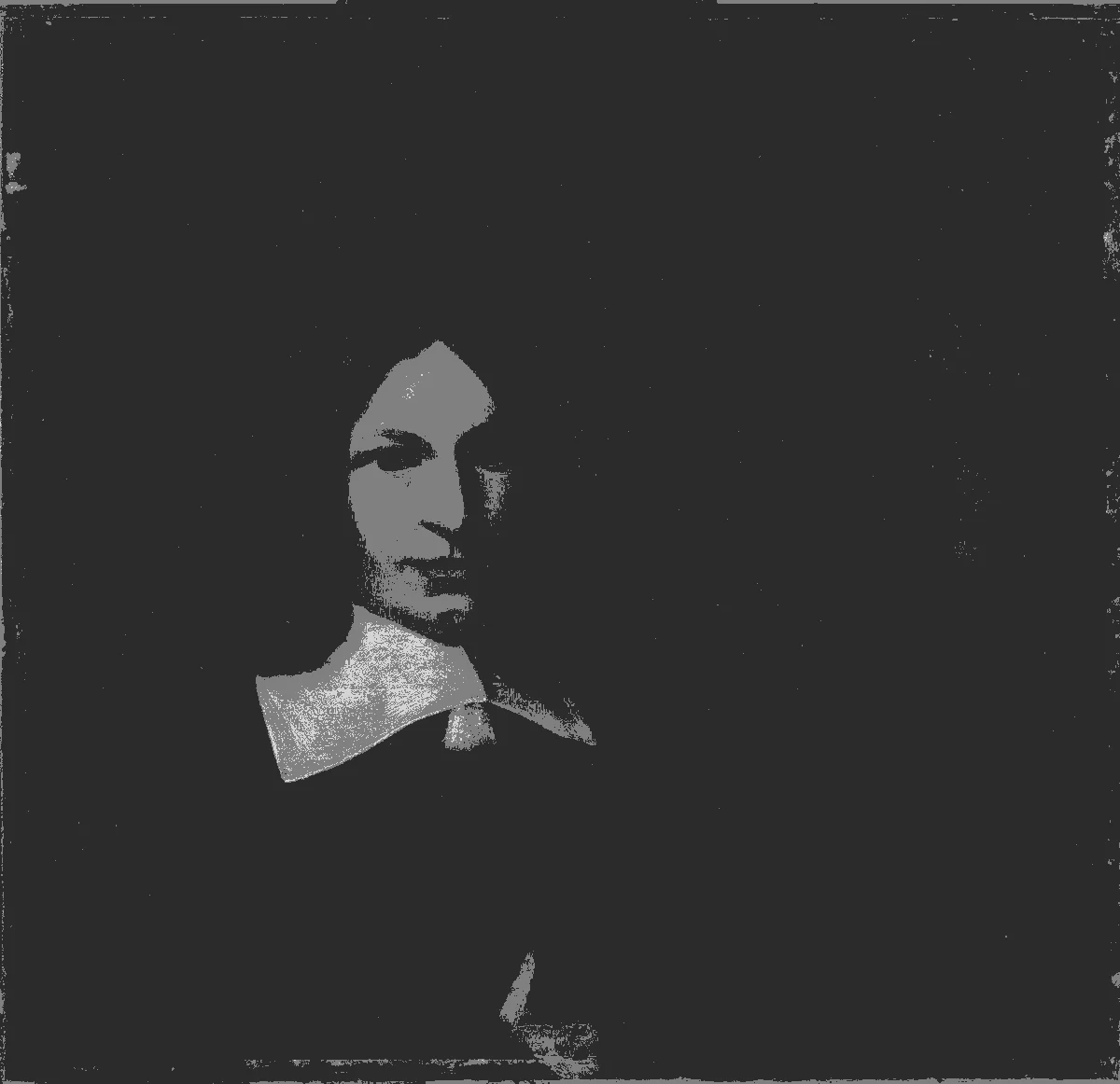 The attributed de Hooch self portrait passed through Critico's 3-tone value view: the image is posterised into three flat zones — the near-black garment and hair, the warm mid-tone background, and the light of the face and collar. The structure of the portrait is immediately legible.