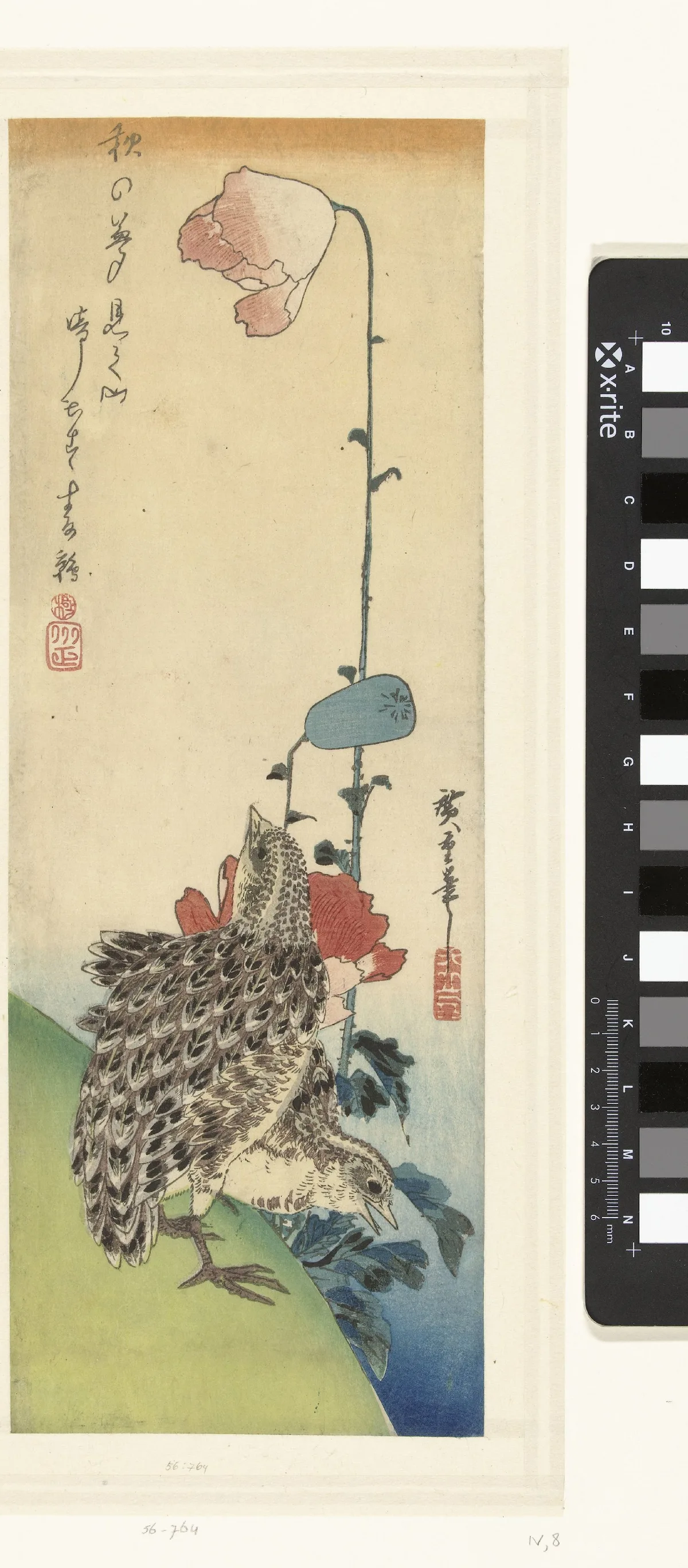 Utagawa Hiroshige's Quails and Poppies woodblock print showing deliberate proportion between the compact ground-level birds and the tall vertical poppy stems — a proportion in art example from the Japanese tradition